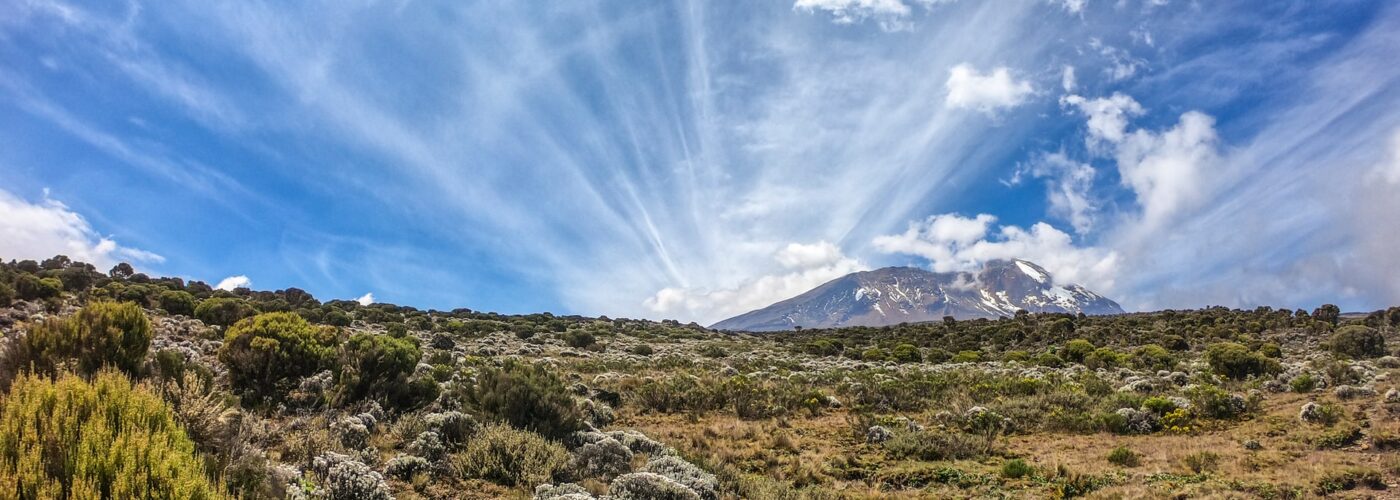 10 Days Bwindi Gorillas & Kilimanjaro Hike