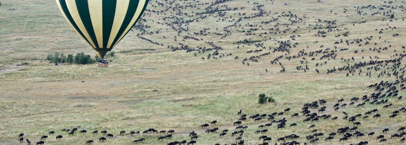 10 Days Bwindi Gorillas & Migration Safari