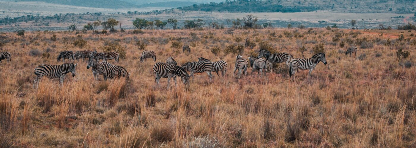 18 Days Remarkable Uganda Safari