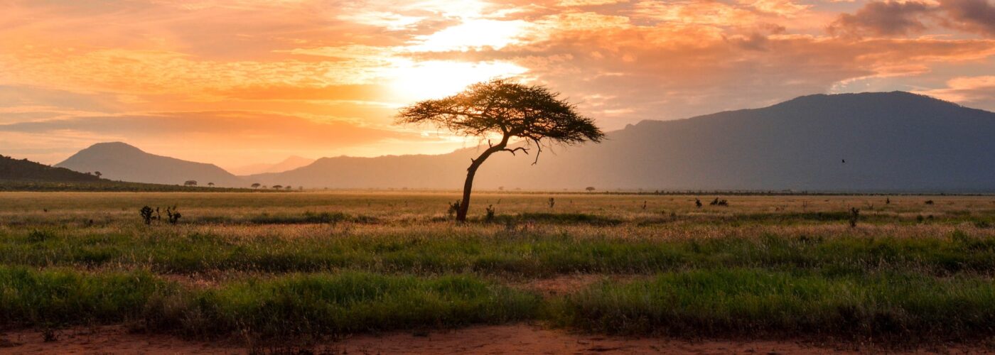 5 Days Uganda Gorillas & Wildlife Safari