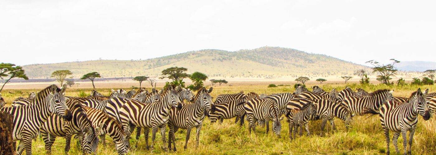 8 Days Classic Rwanda Safari